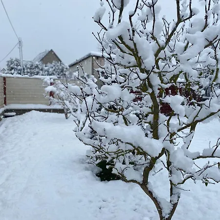 Joli- Inklusive Parkplatz, Bettwäsche, Handtücher Und Wlan Apartment