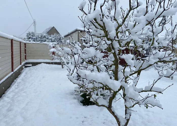 Joli- Inklusive Parkplatz, Bettwaesche, Handtuecher Und Wlan Διαμέρισμα